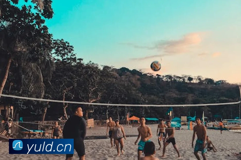 半岛平台在线登录APP 封面图